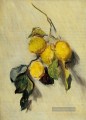 Zweig Zitronen Claude Monet Stillleben